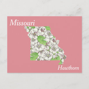 Missouri Staat Blume Collage Map Postkarte