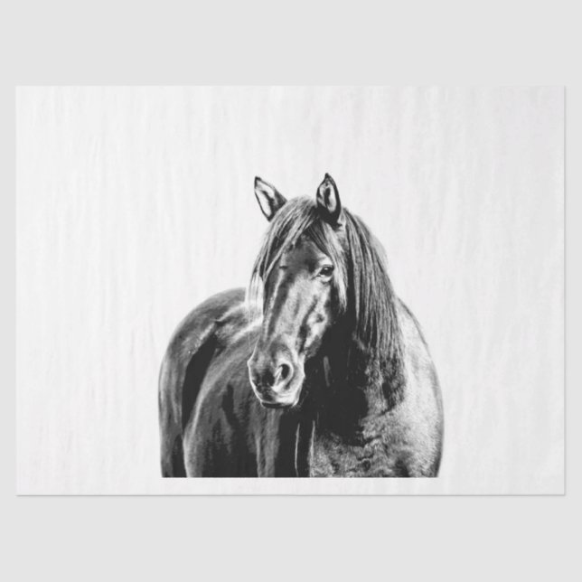 Missouri Wild Horse Seidenpapier (Vorderseite)