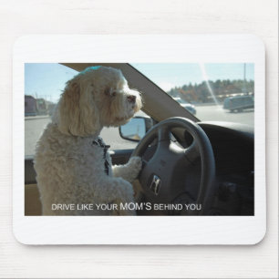 Misstrauisches Cockapoo blickt im Spiegel flüchti Mousepad