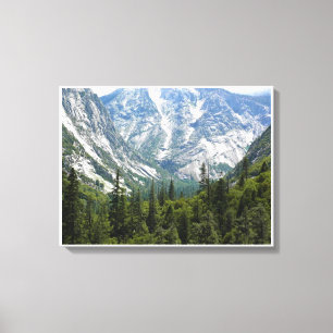 Mist Falls Trail, King's Canyon National Park, CA Leinwanddruck