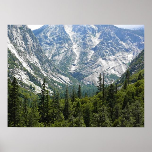Mist Falls Trail, King's Canyon National Park, CA Poster (Vorne)