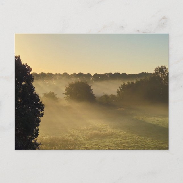 Mist Postkarte (Vorderseite)
