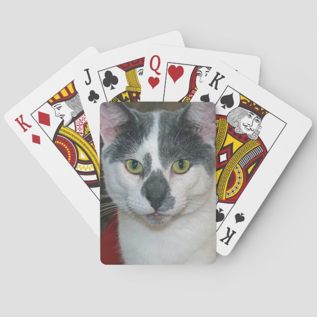 Mister Pants Spielkarten (Rückseite)