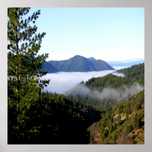 Misting Morgennebel...... Poster