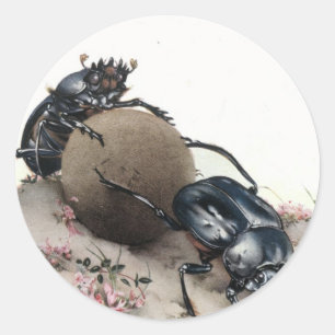 Mistkäfer Runder Aufkleber
