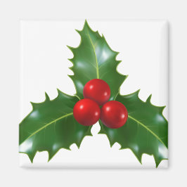 Mistletoe Magnet