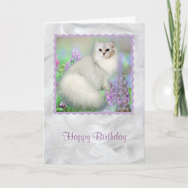 Mistletoe the Silver Persian Cat Birthday Card Karte (Vorderseite)