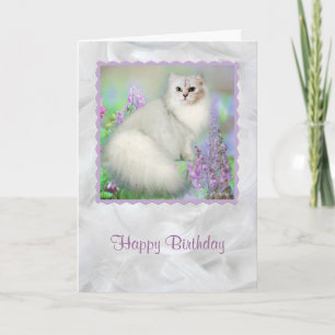 Mistletoe the Silver Persian Cat Birthday Card Karte