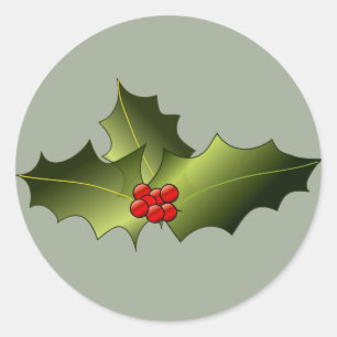 Mistletoon auf glänzenden Rundklebern Runder Aufkleber