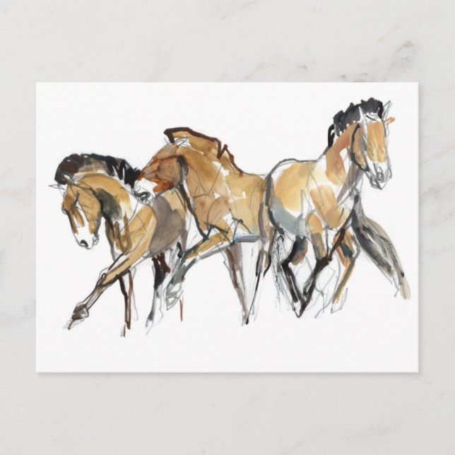 Mistral Three Postkarte (Vorderseite)