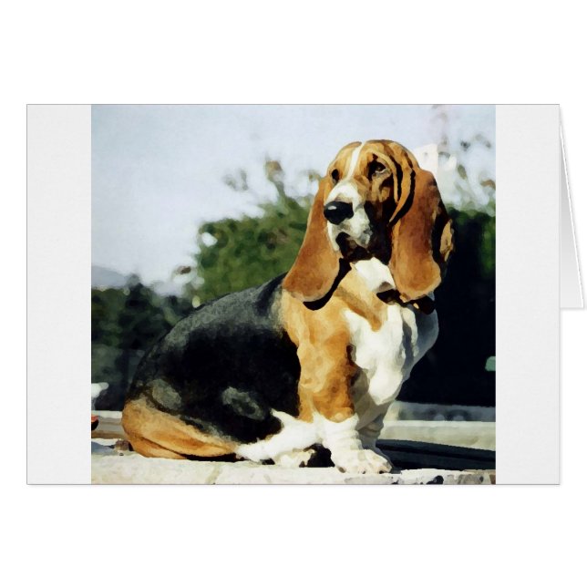 Misty (Vorderseite (Horizontal))