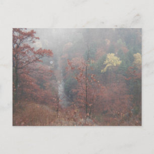 Misty Autumn Woods Postkarte