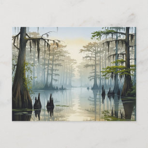 Misty Congaree National Park South Carolina Postkarte