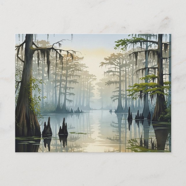 Misty Congaree National Park South Carolina Postkarte (Vorderseite)