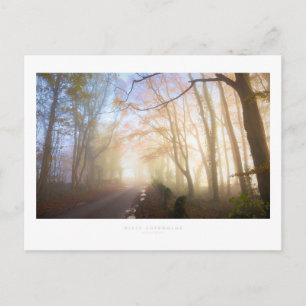 Misty Cotswolds Postkarte