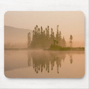 Misty dawn on East Inlet, Pittsburg, New Mousepad