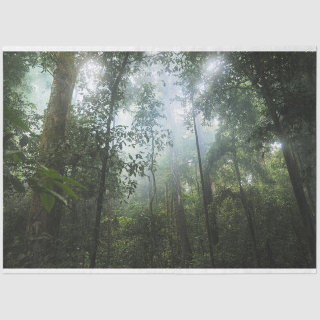 Misty Forest Decoupage Seidenpapier (Vorderseite)