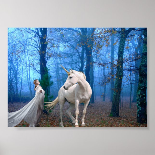 Misty Forest Poster (Vorne)