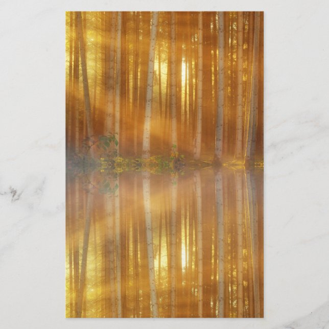 Misty Forest Scene Briefpapier (Vorderseite)