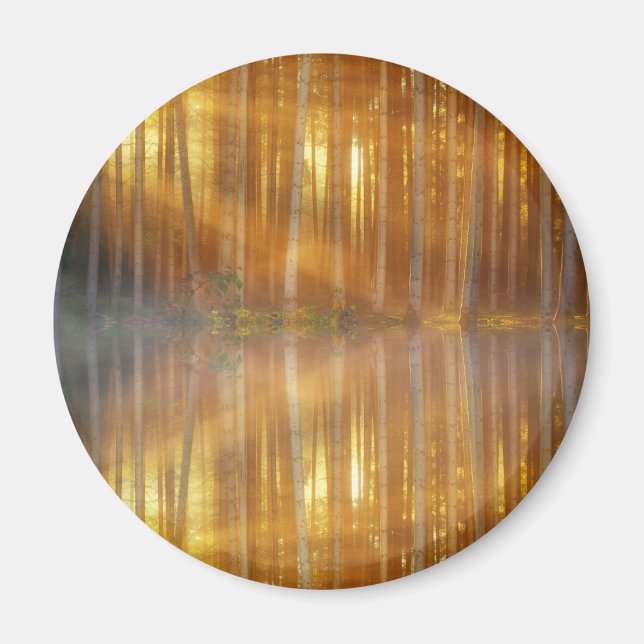 Misty Forest Scene Magnet (Vorne)