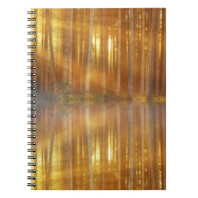 Misty Forest Scene Notizblock (Vorderseite)