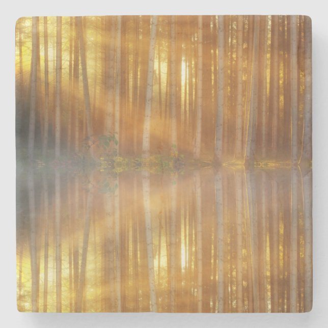 Misty Forest Scene Steinuntersetzer (Vorderseite)