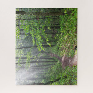 Misty Forest Trail auf dem Burg Puzzle