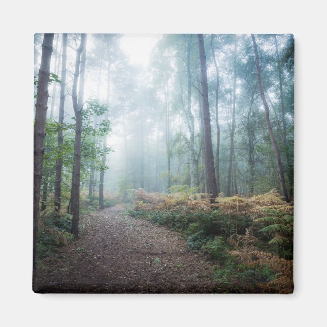 Misty Forest Walk Magnet (Vorne)