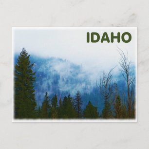 Misty Gray Postkarte