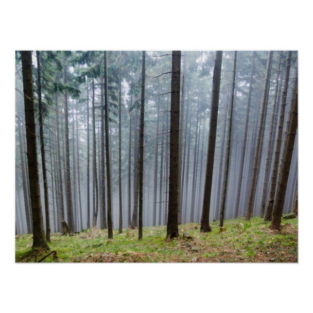 Misty Herbst Forest Relaxation Poster (Vorderseite)