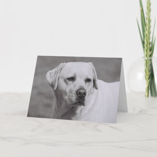 Misty Karte (Vorderseite)