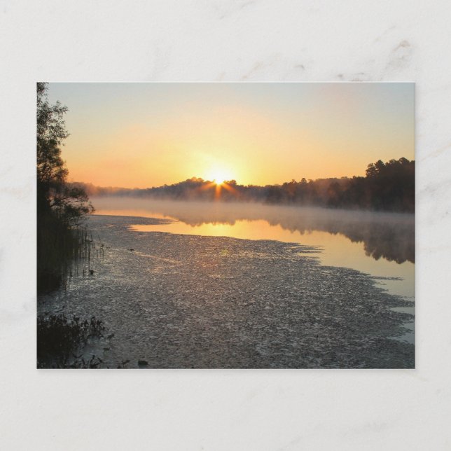 Misty Lake Sunrise Postcard Postkarte (Vorderseite)