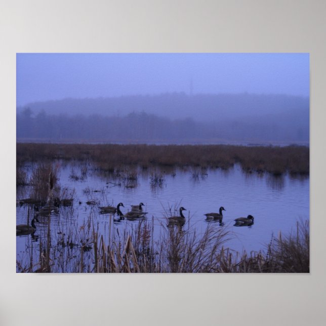 Misty Marsh Photograph Poster (Vorne)