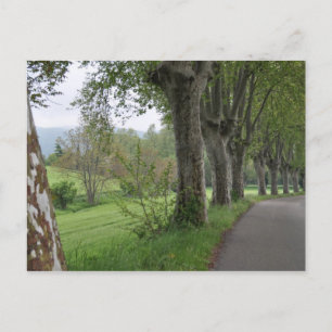 Misty Morgens in der Provence Postkarte