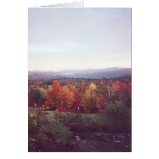 Misty Morning, 15. Oktober 2008