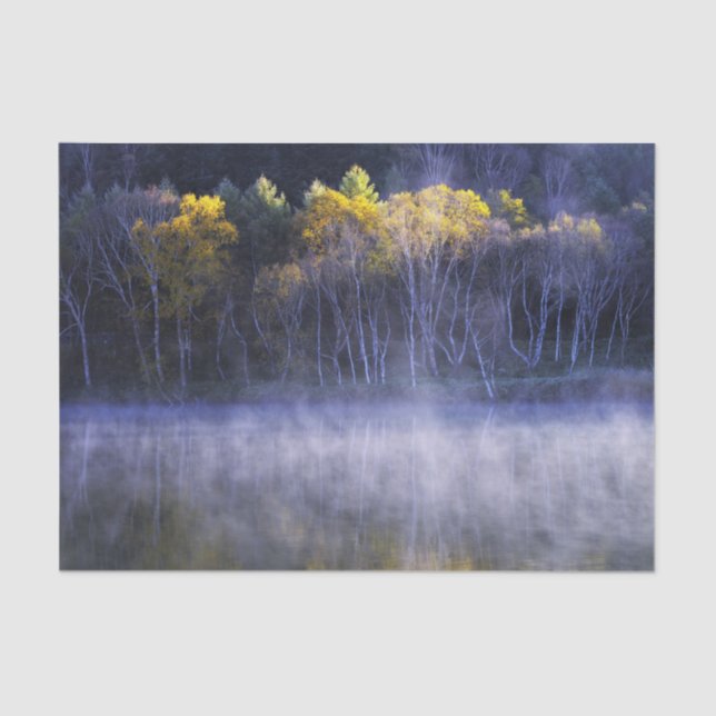 Misty Morning Lake Seidenpapier (Vorderseite)