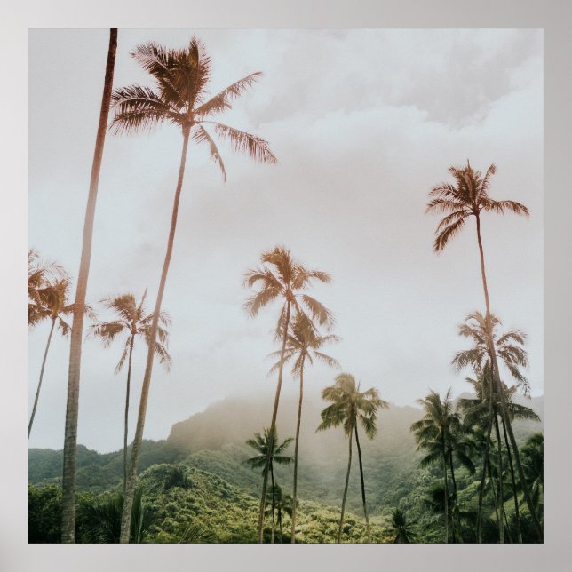 Misty Morning Palms in Oahu, Hawaii Poster (Vorne)