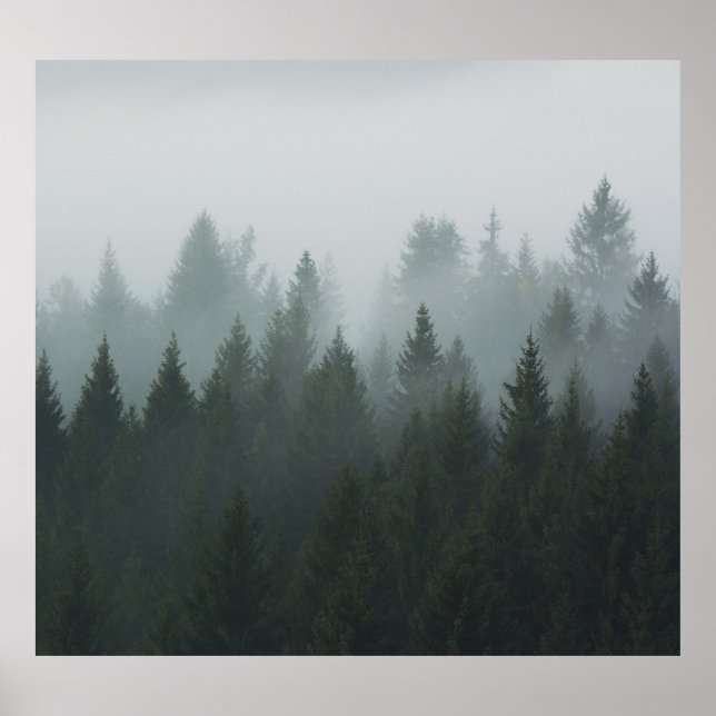 Misty Mountain Forest Autumn Fog Poster (Vorne)