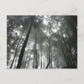 Misty Mountains Postcard Postkarte