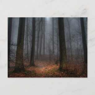 Misty Path to Flat Top Mountain Postkarte