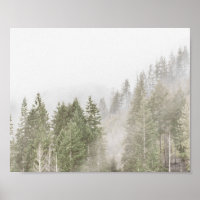 Misty Pines