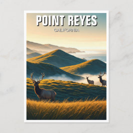 Misty Point Reyes National Seashore Elch Postkarte