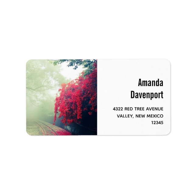 Misty Railroad Tracks Landschaftliches Foto Adressaufkleber (Vorne)