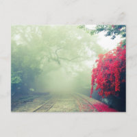 Misty Railroad Tracks Landschaftliches Foto
