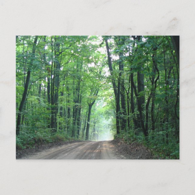 Misty Road Postcard Postkarte (Vorderseite)