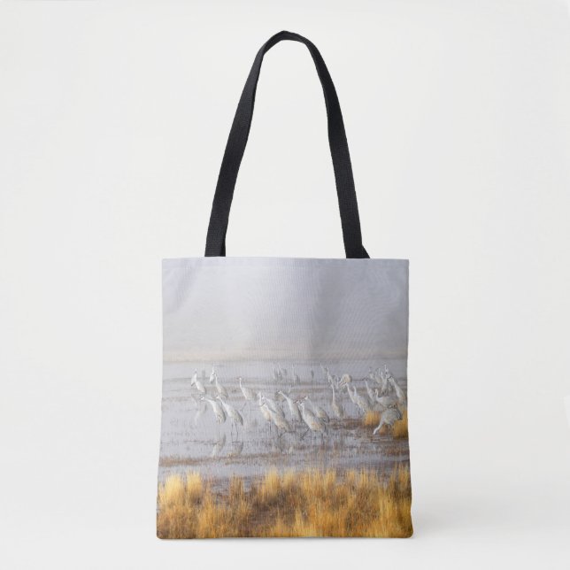 Misty Sandhill Cranes (Vorderseite)