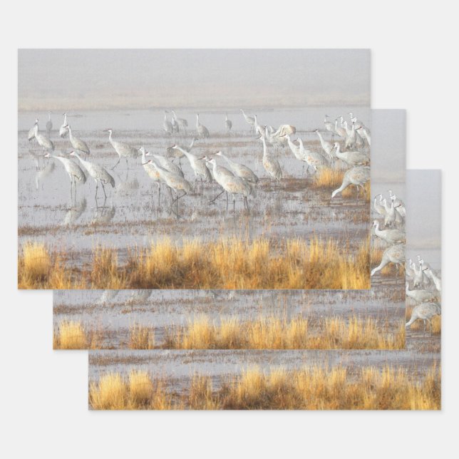 Misty Sandhill Cranes Geschenkpapier Set (Set)