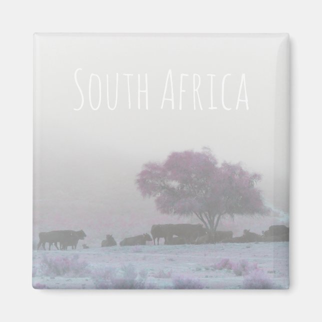 Misty South Africa Rural Landscape SA Magnet (Vorne)