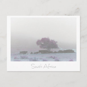 Misty South Africa Rural Landscape SA Postcard Postkarte