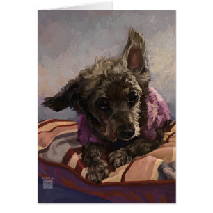 Misty the Poodle